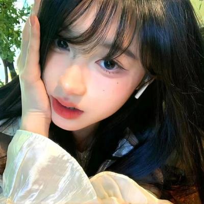 梅花档案
